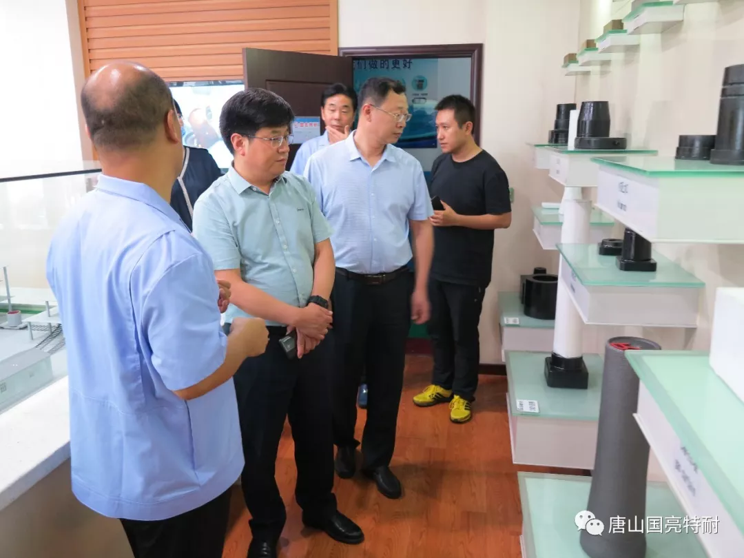卢根发副市长一行到国亮公司调研